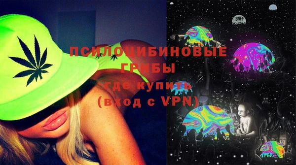 гидра Вязьма