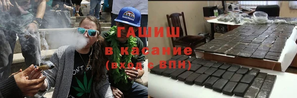 гидра Вязьма